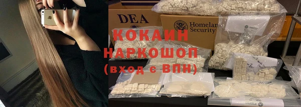 спиды Богородицк
