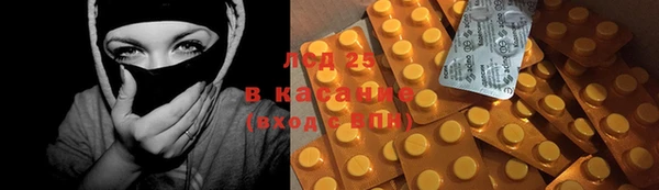 спиды Богородицк