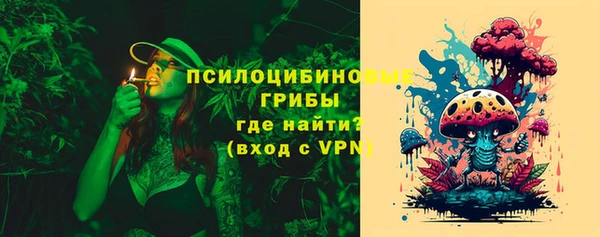 экстази Богородск