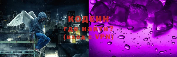 спиды Богородицк
